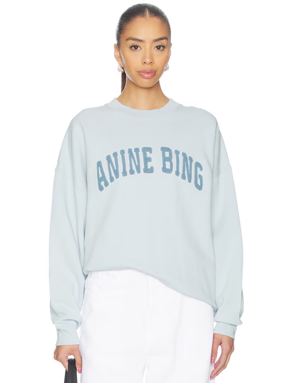 NWT Anine Bing Miles Sweatshirt Pale Blue size Large reg $200
